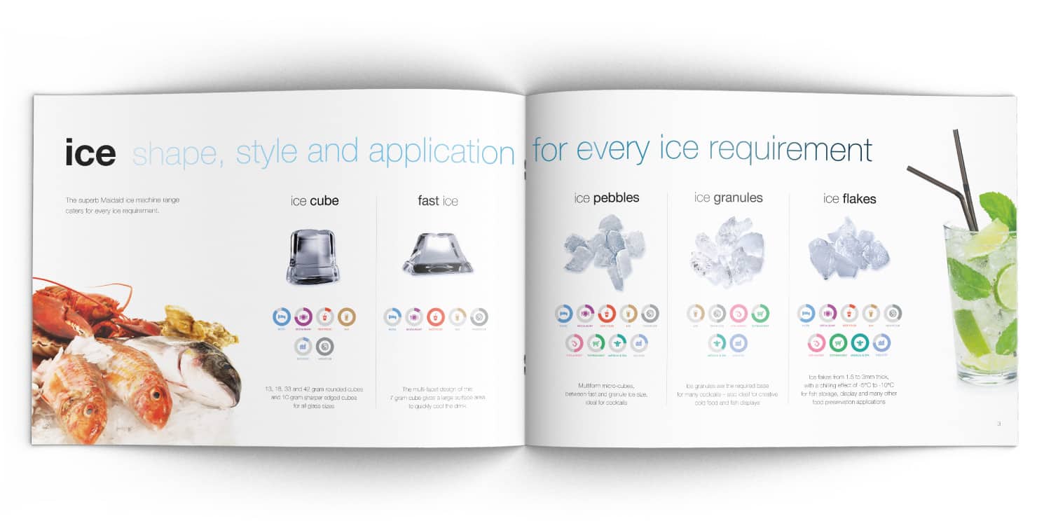 Maidaid brochure design spread