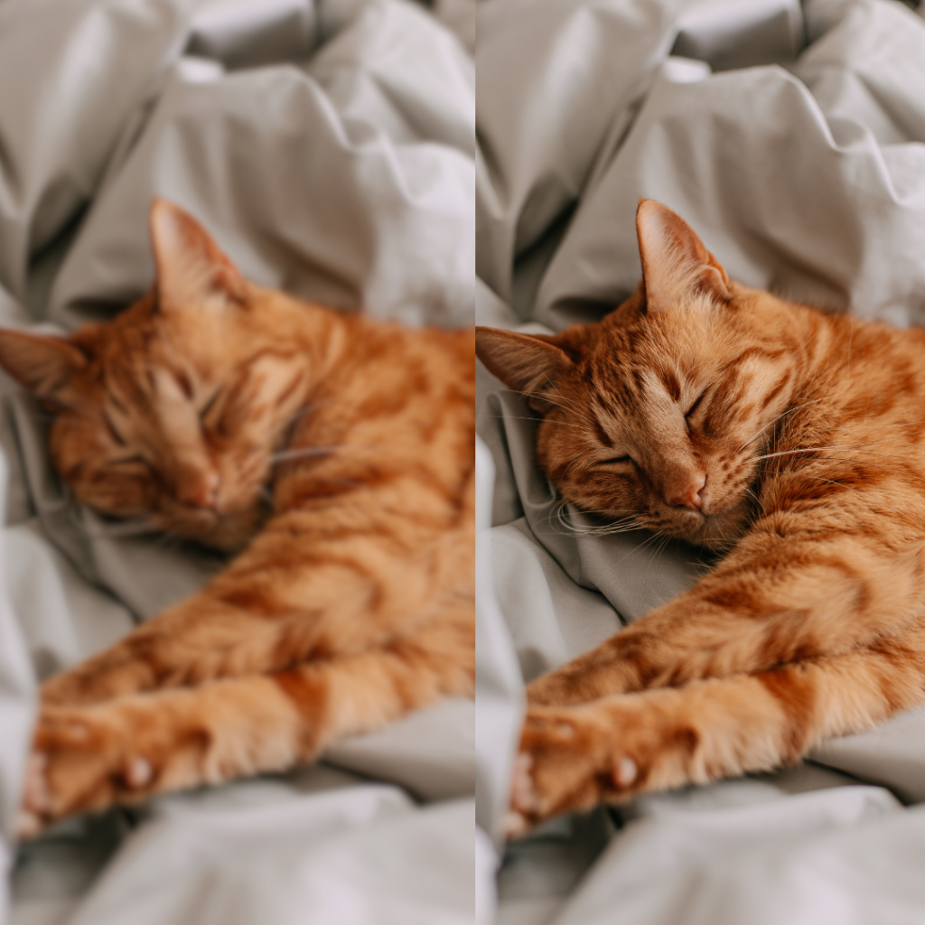 Low quality image vs high quality image